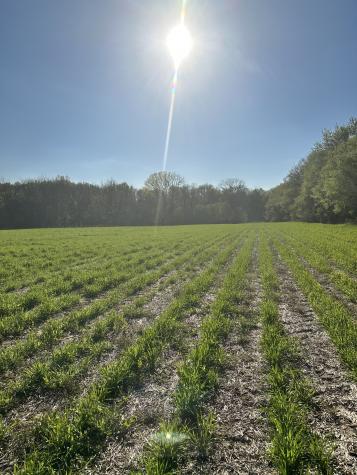 4838 Highway 31w Cottontown TN 37048
