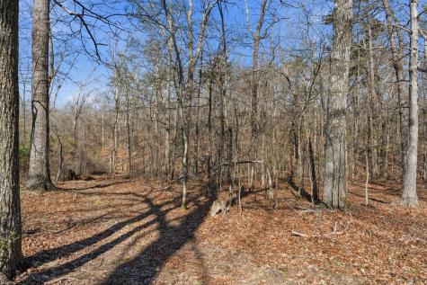 91 Whispering Oaks Street Summertown TN 38483