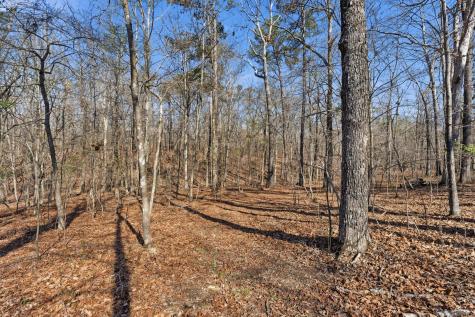 91 Whispering Oaks Street Summertown TN 38483