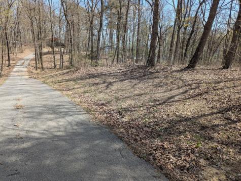 17 Duckwood Lane Evensville TN 37332
