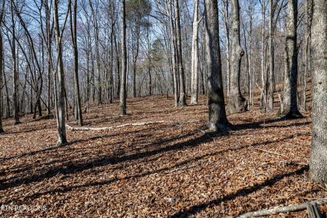 150 Clear Branch Road N Loudon TN 37774