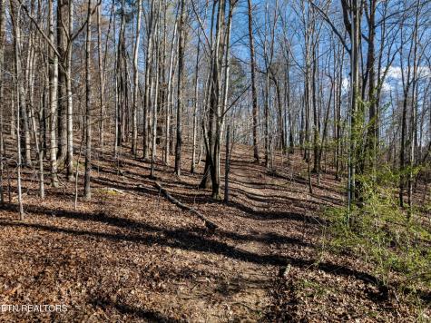 150 Clear Branch Road N Loudon TN 37774