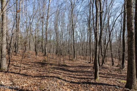150 Clear Branch Road N Loudon TN 37774