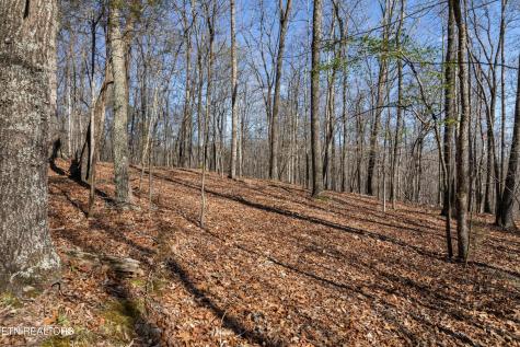 150 Clear Branch Road N Loudon TN 37774
