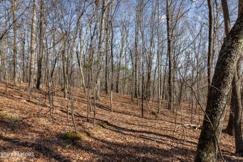 150 Clear Branch Road N Loudon TN 37774