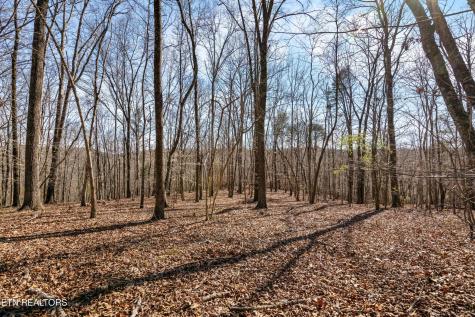 150 Clear Branch Road N Loudon TN 37774