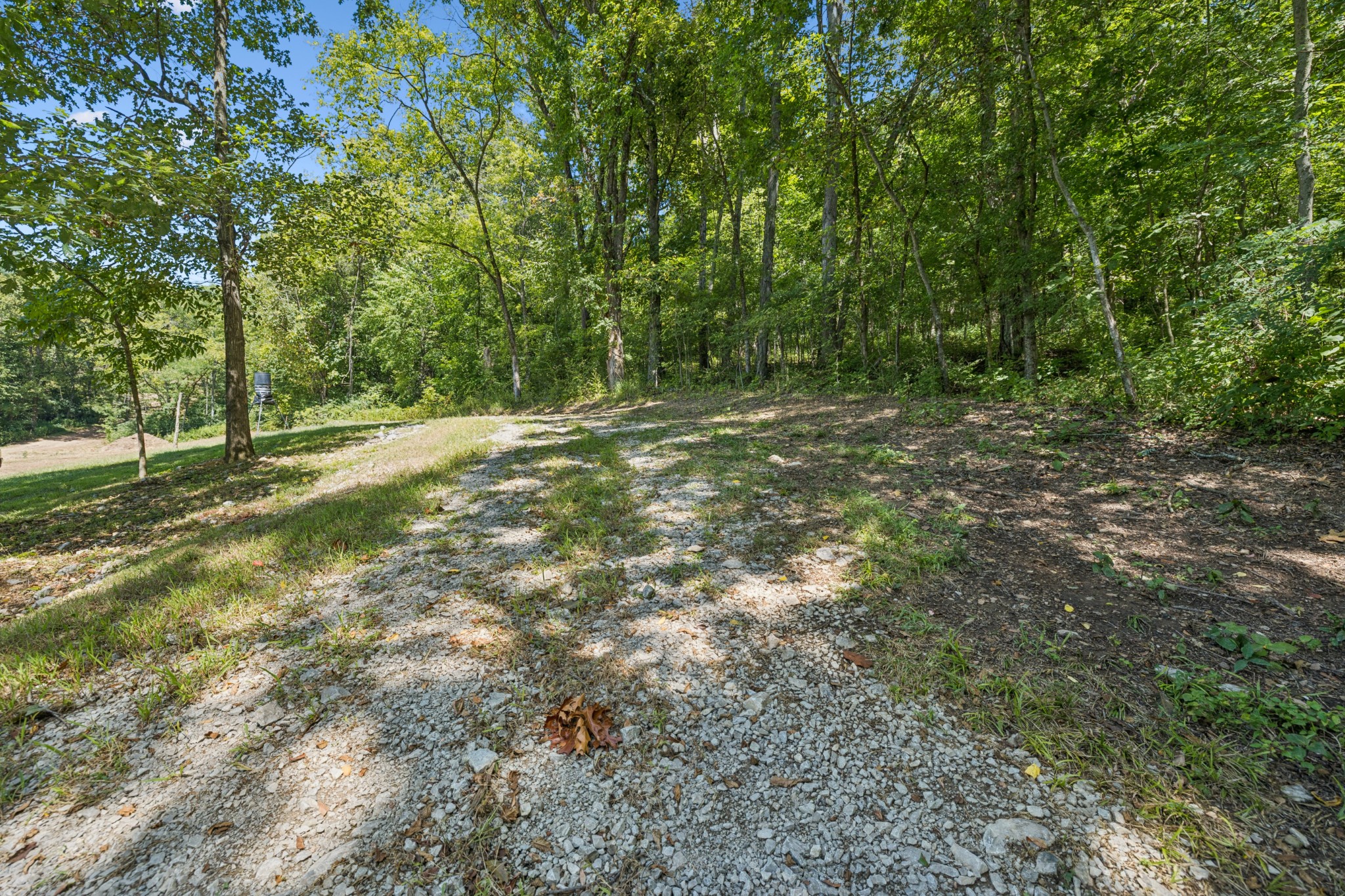 4828 Harpeth Peytonsville Road Thompsons Station TN 37179