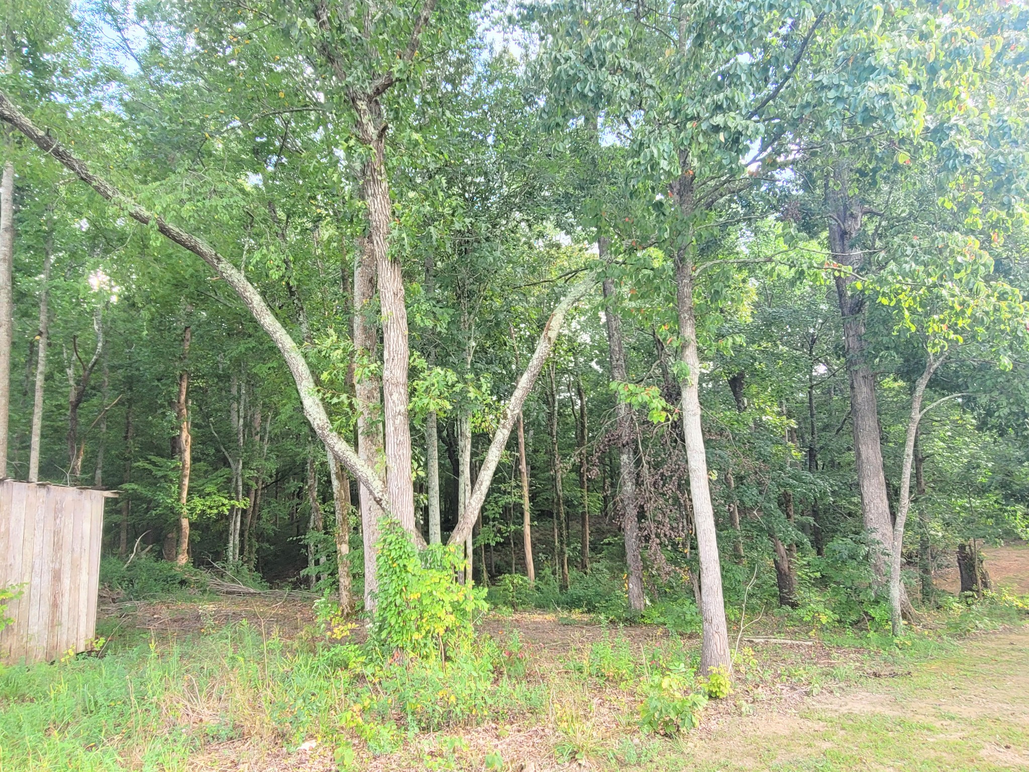 0 Salem Road Mc Minnville TN 37110