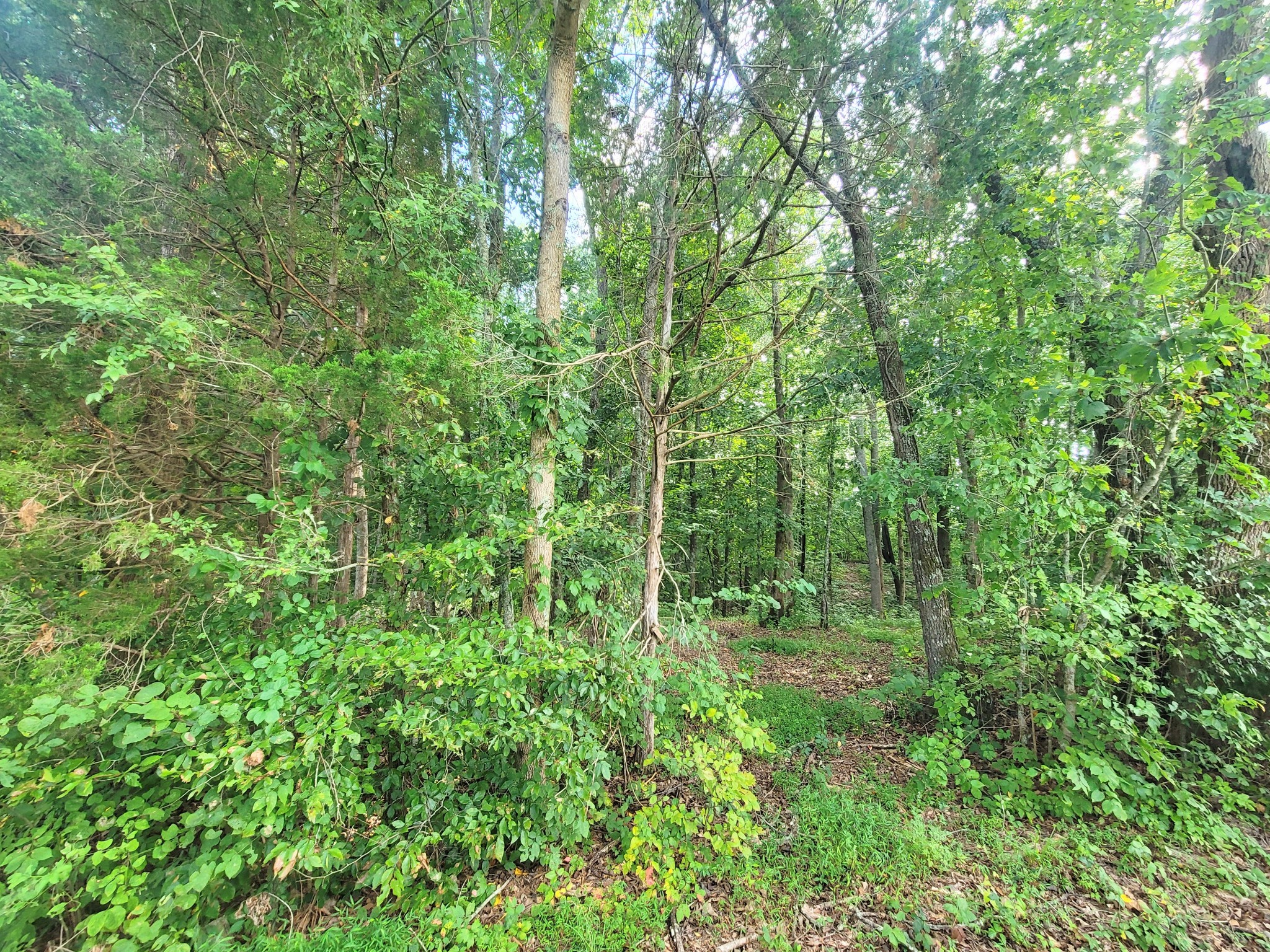 0 Salem Road Mc Minnville TN 37110