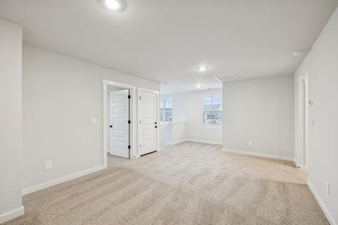 424 Wild Iris Way Spring Hill TN 37174
