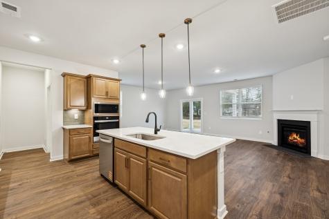 424 Wild Iris Way Spring Hill TN 37174