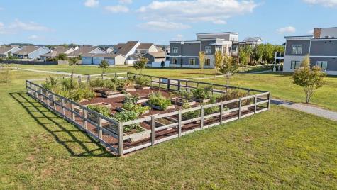 424 Wild Iris Way Spring Hill TN 37174