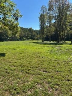 6166 Chestnut Valley Road Vonore TN 37885