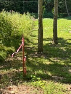 6166 Chestnut Valley Road Vonore TN 37885