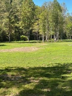 6166 Chestnut Valley Road Vonore TN 37885