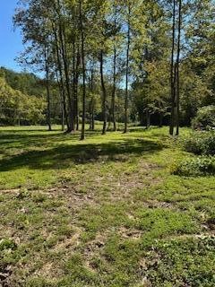 6166 Chestnut Valley Road Vonore TN 37885