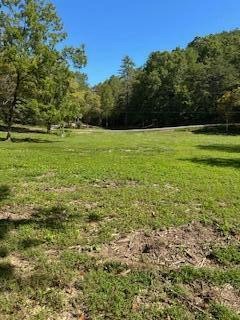 6166 Chestnut Valley Road Vonore TN 37885
