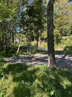 6166 Chestnut Valley Road Vonore TN 37885