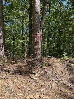 6166 Chestnut Valley Road Vonore TN 37885