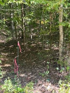 6166 Chestnut Valley Road Vonore TN 37885