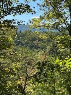 6166 Chestnut Valley Road Vonore TN 37885