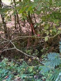 6166 Chestnut Valley Road Vonore TN 37885