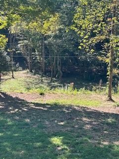 6166 Chestnut Valley Road Vonore TN 37885