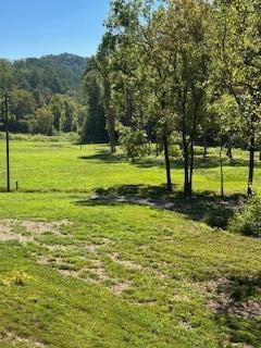 6166 Chestnut Valley Road Vonore TN 37885