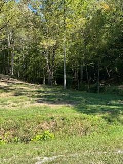 6166 Chestnut Valley Road Vonore TN 37885