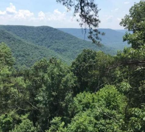 41 Wohalie Lane South Pittsburg TN 37380