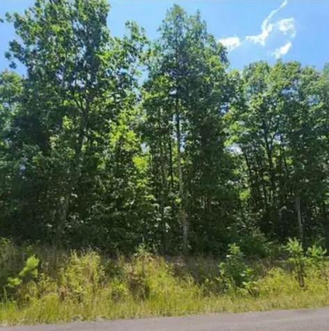 41 Wohalie Lane South Pittsburg TN 37380