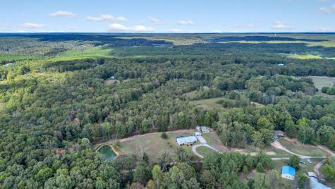 5350 J D Burlison Jr Lane Centerville TN 37033