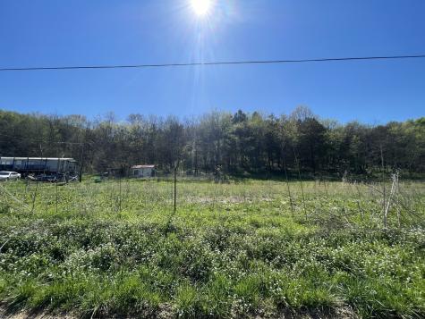 59 Scanty Branch Road Dixon Springs TN 37057