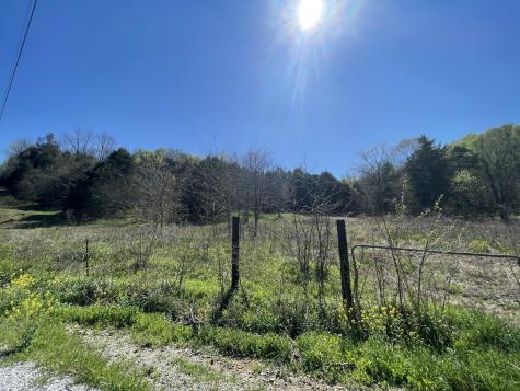 59 Scanty Branch Road Dixon Springs TN 37057