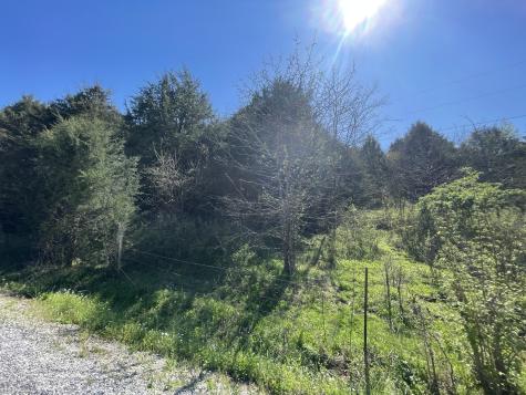 59 Scanty Branch Road Dixon Springs TN 37057