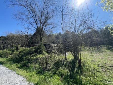 59 Scanty Branch Road Dixon Springs TN 37057