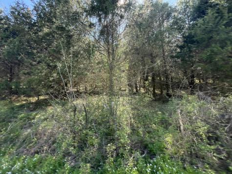 59 Scanty Branch Road Dixon Springs TN 37057