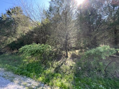 59 Scanty Branch Road Dixon Springs TN 37057
