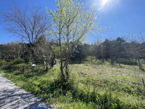59 Scanty Branch Road Dixon Springs TN 37057