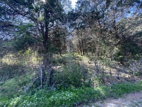 59 Scanty Branch Road Dixon Springs TN 37057