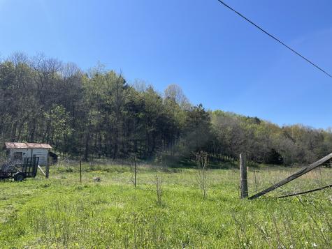 59 Scanty Branch Road Dixon Springs TN 37057