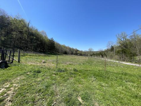 59 Scanty Branch Road Dixon Springs TN 37057