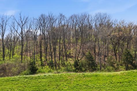 9645 Kaplan Avenue Brentwood TN 37027