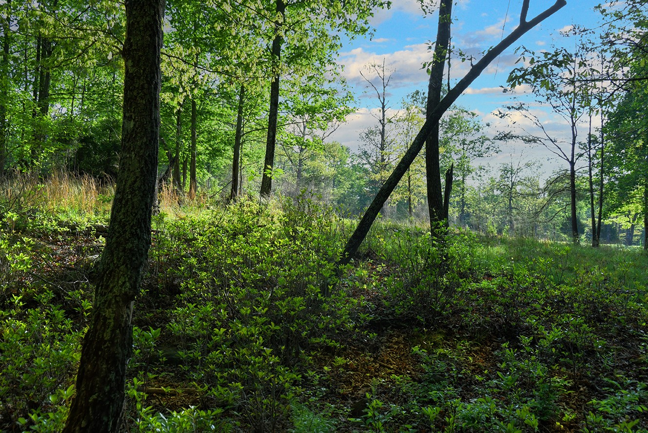 607 Monteagle Falls Road Monteagle TN 37356