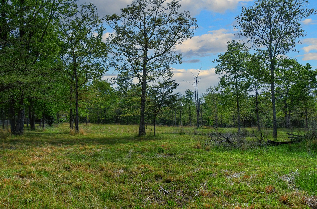 607 Monteagle Falls Road Monteagle TN 37356