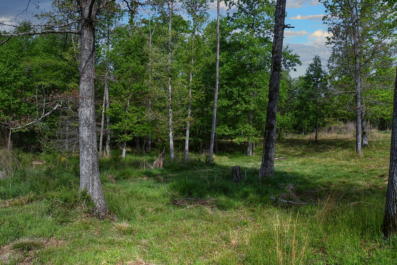 607 Monteagle Falls Road Monteagle TN 37356