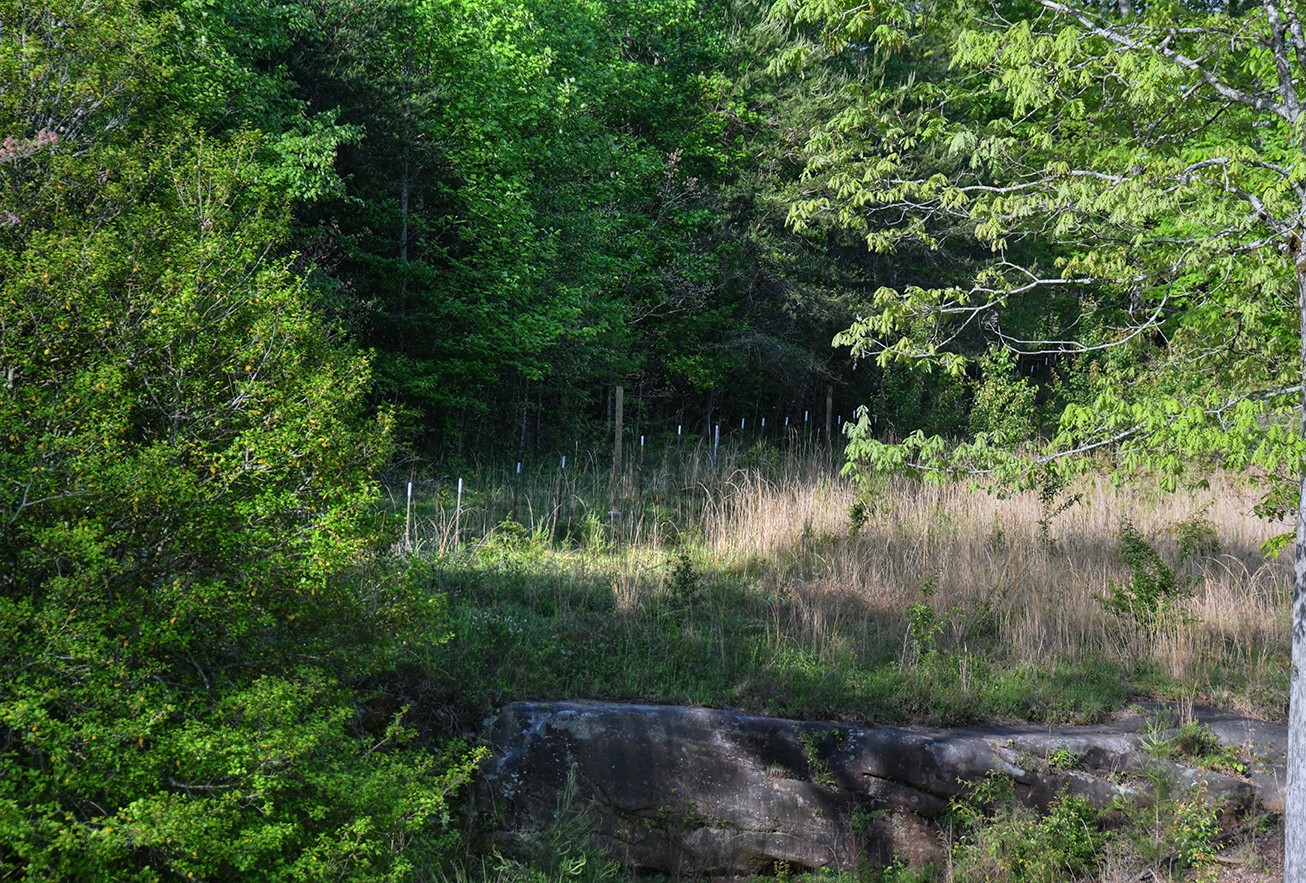 607 Monteagle Falls Road Monteagle TN 37356
