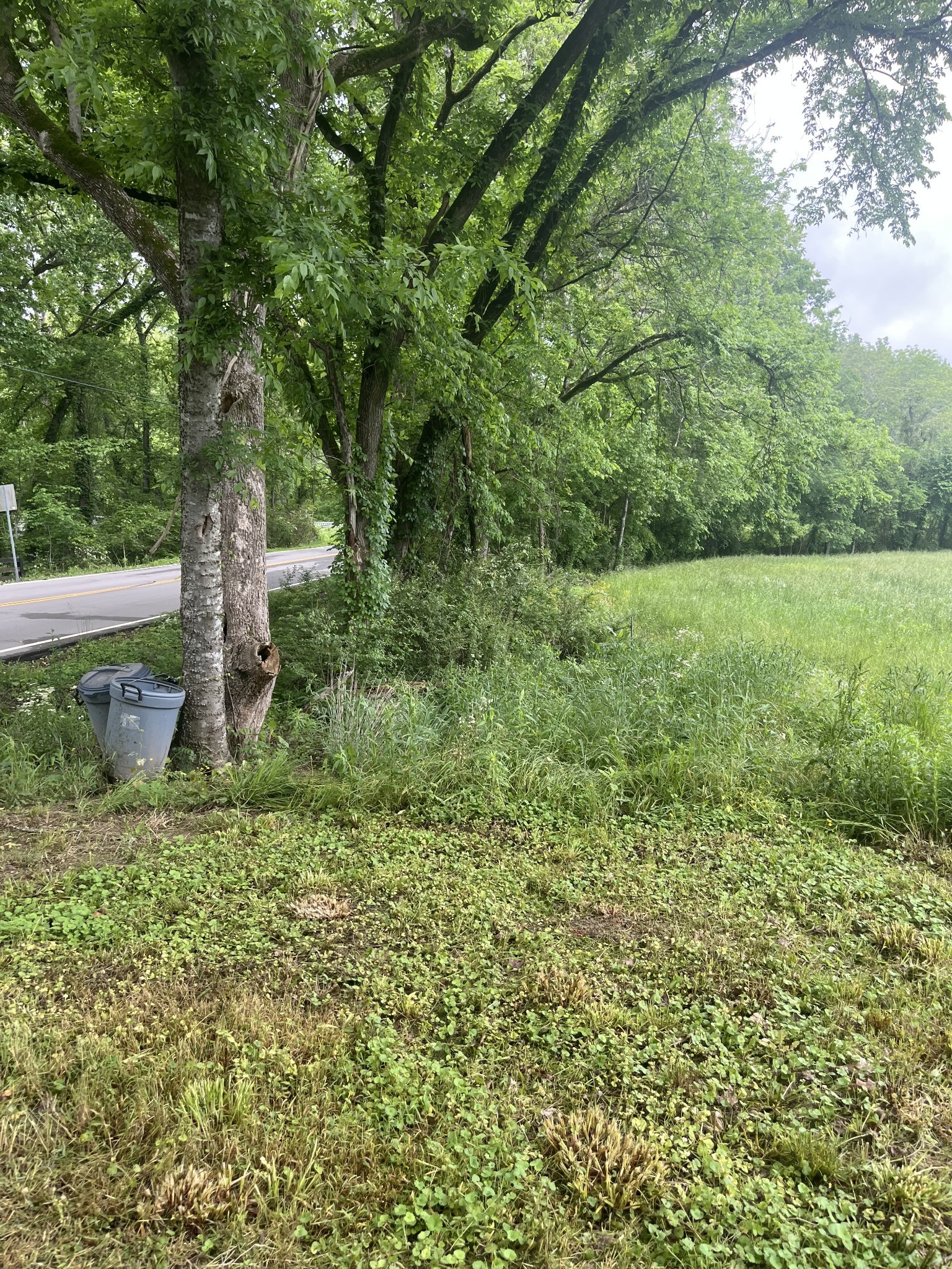 1 Hester Beasley Road Nashville TN 37221