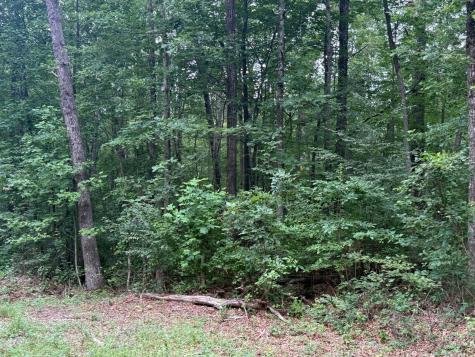 1 Tipple Road Tracy City TN 37387