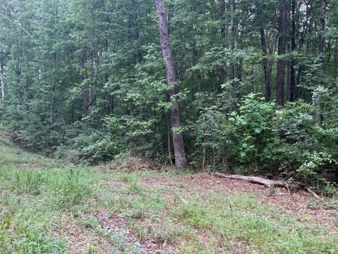 1 Tipple Road Tracy City TN 37387